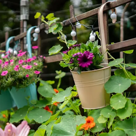 Lesny Zakatek アパート *