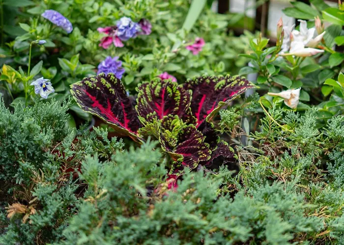 アパート Lesny Zakatek