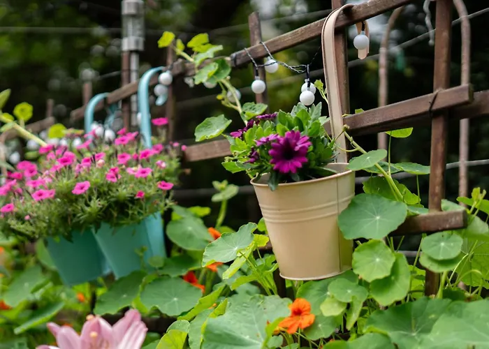 Lesny Zakatek Daire *