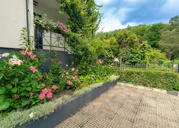 Lesny Zakatek アパート *