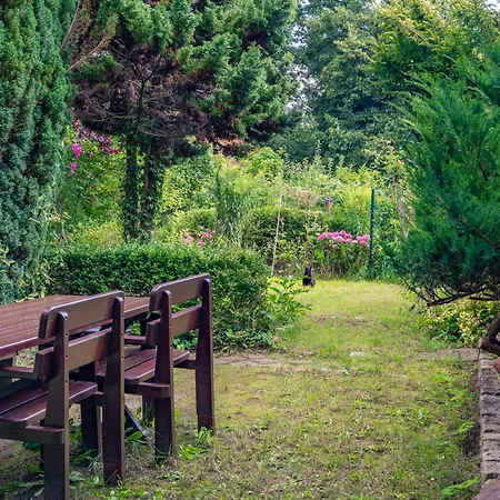 Apartment Lesny Zakatek