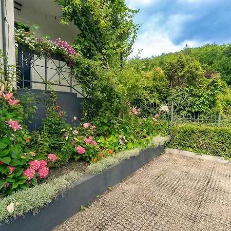 Lesny Zakatek Apartment *