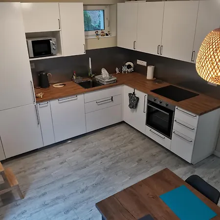 Lesny Zakatek Apartment *